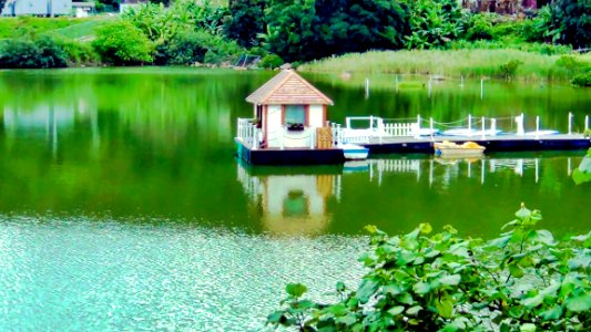 (2011-06-20)小白鷺山頂一天-05