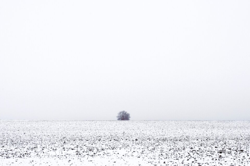 Snow solitude melancholy
