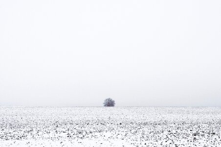 Snow solitude melancholy photo