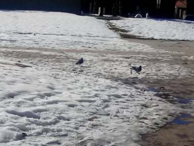 Weber State EcoPhoto 2