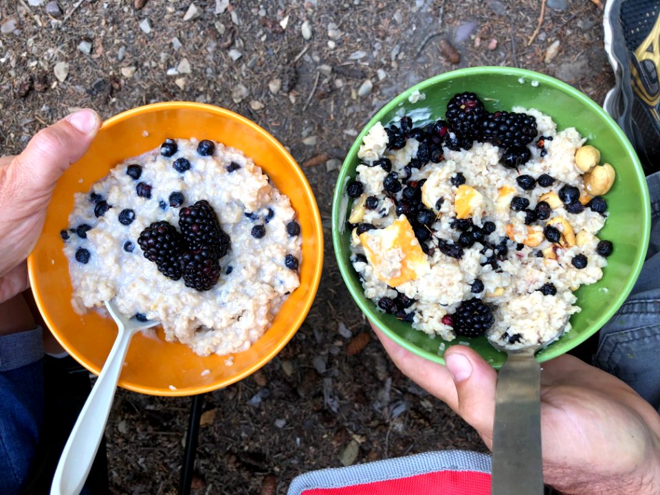 Oatmeal Disagreement