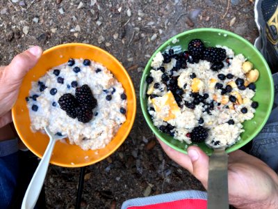 Oatmeal Disagreement