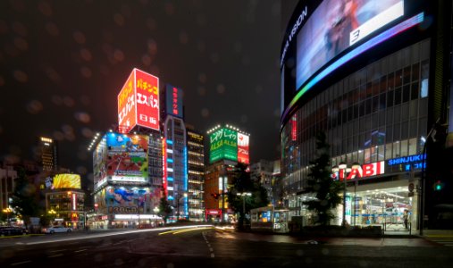 2019 Tokyo Nighttime Neon Pedestrians and Traffic (20)
