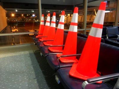 It's a Cone Family Vacation! photo
