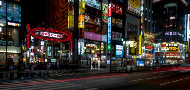 2019 Tokyo Nighttime Neon Pedestrians and Traffic (1)