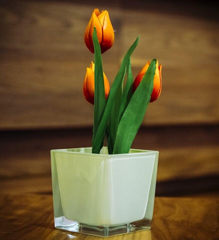 Decoration interior spring