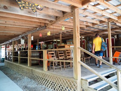 20180823 New Orleans, Alligator trail boat