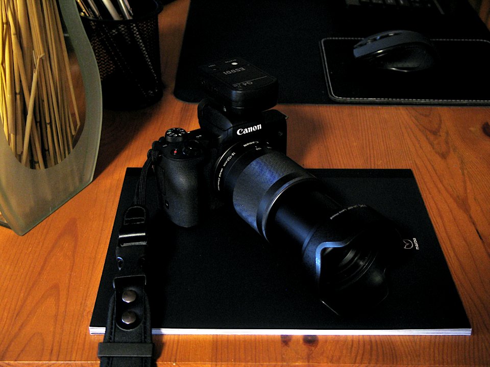 Canon EOS M50