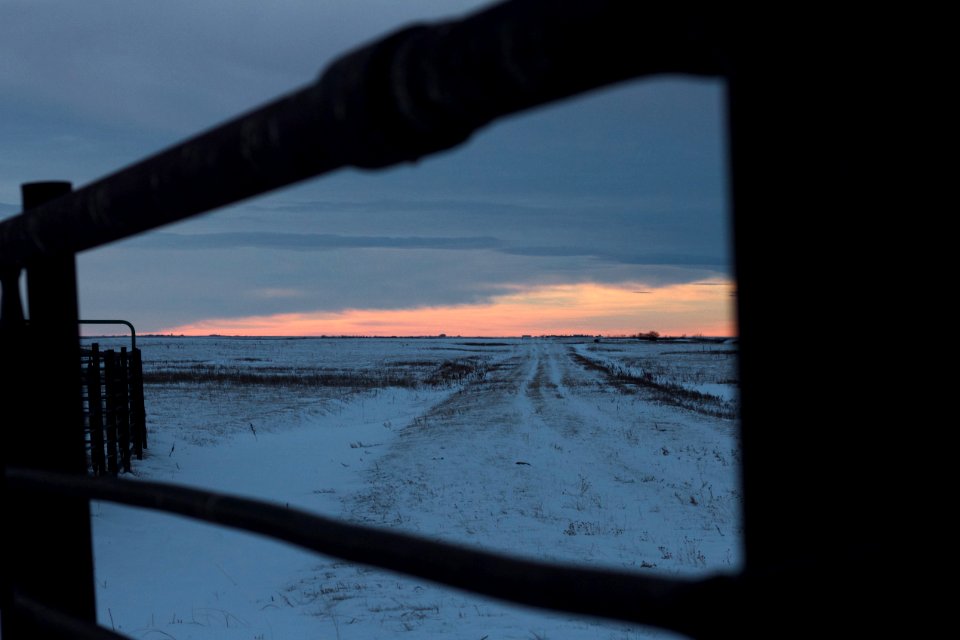 Framing the Long Road