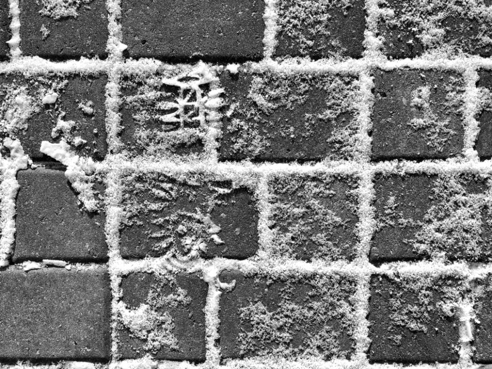 2019/365/336 You Are Being Tracked