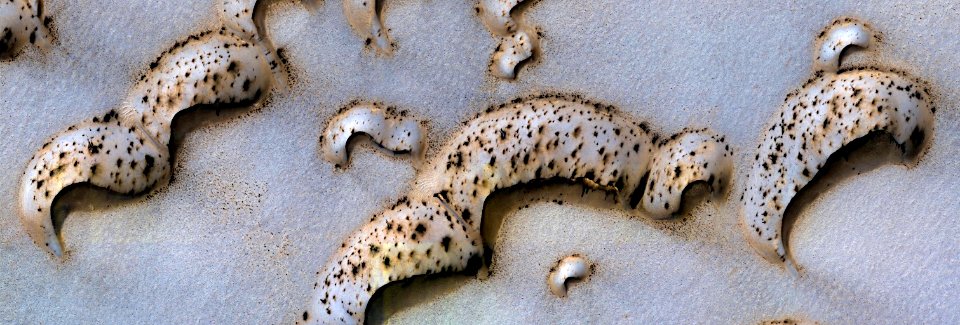 Mars - Dunes Dubbed Palma