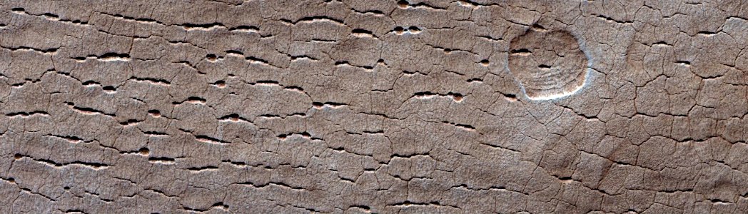 Mars - Pits, Cracks, and Polygons in Western Utopia Planitia