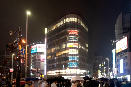 2019 Tokyo Nighttime Neon Pedestrians and Traffic (27) photo