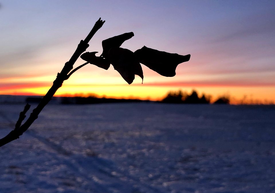 Stillness at the End of Day