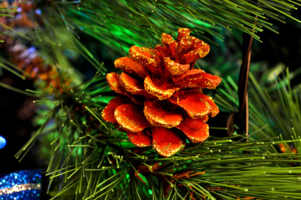 Xmas winter green