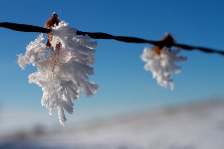 Hair Wire Snow Cones