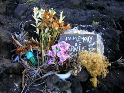 Beach Tribute