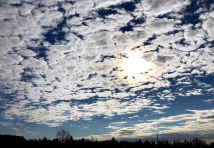 2020/366/281 Cathering Sky Number 2337