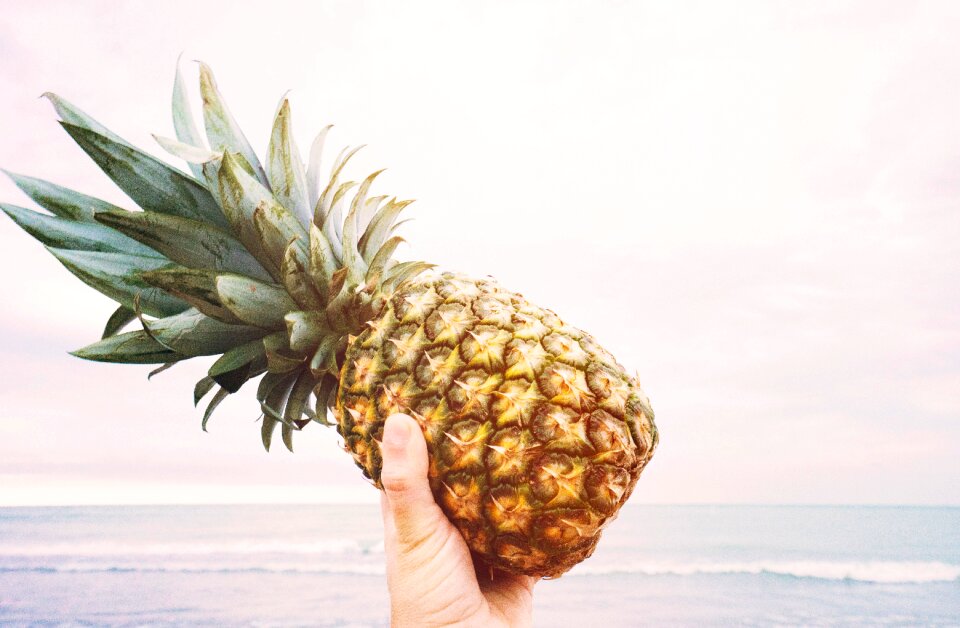 Fresh healthy food