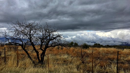 Lonely Watchman