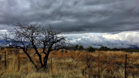 Lonely Watchman photo