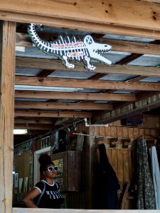 20180823 New Orleans, Alligator trail boat