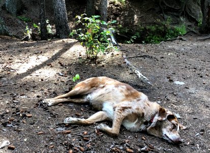 Camping is HARD Work