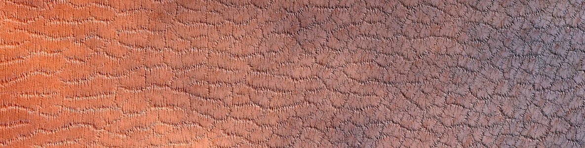 Mars - Polar Spider Trough Network (Lat: -85° Long: 259°)