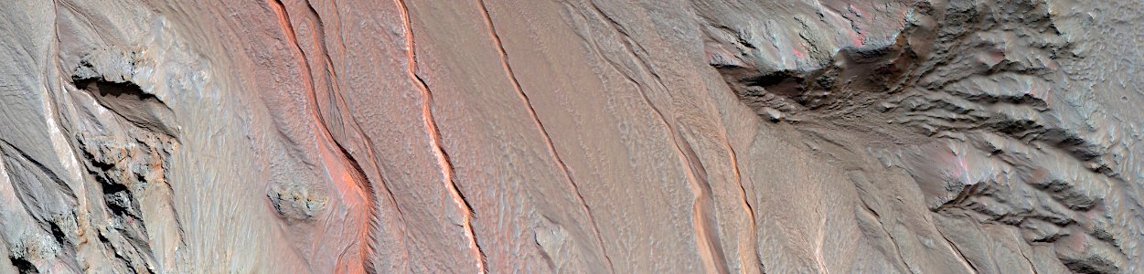 Mars - Bright Gully Flows in Hale Crater photo