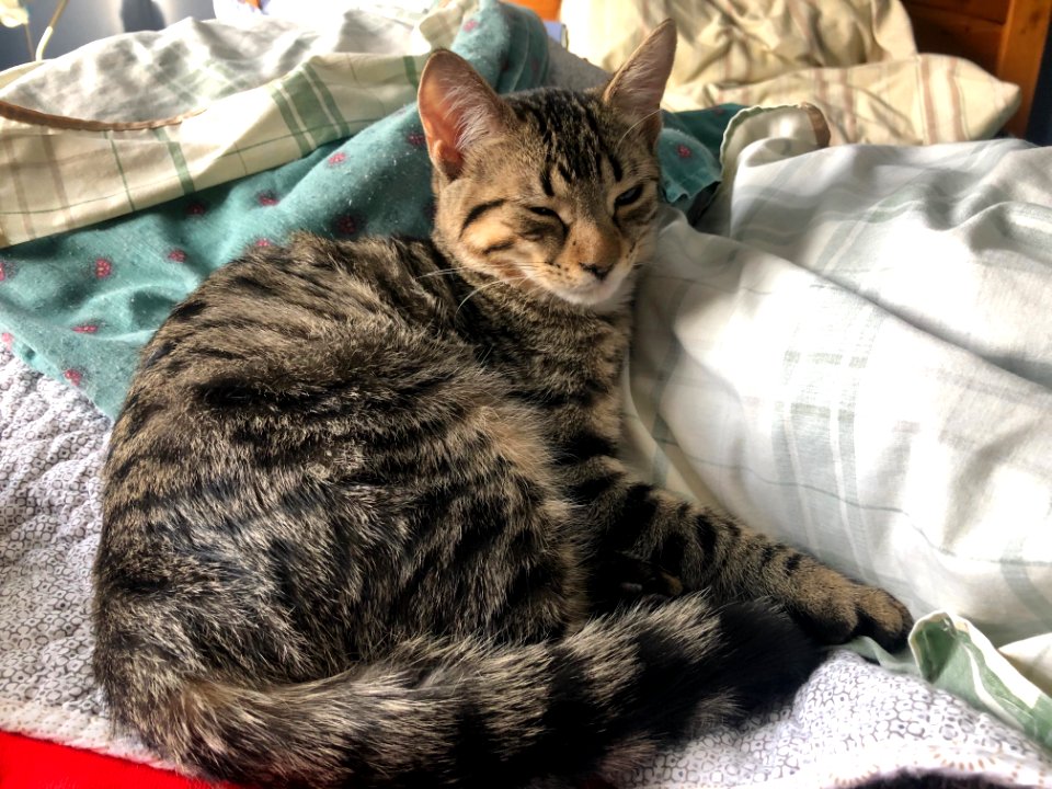 You Will Make My, Bed, Yes, Human?