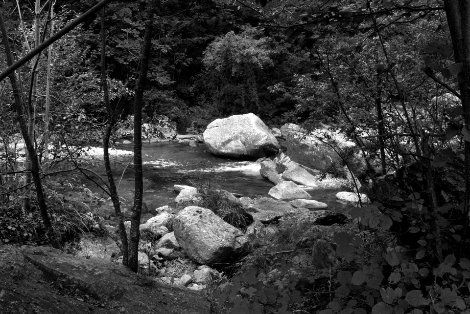 Evening river scene.