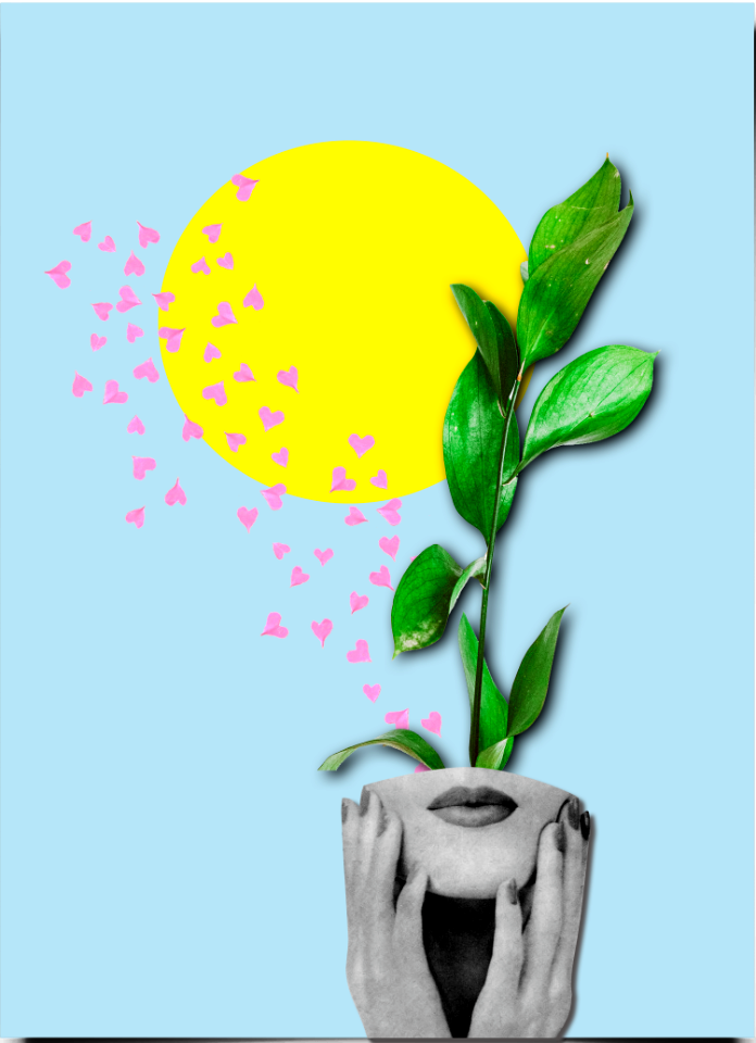 Planter