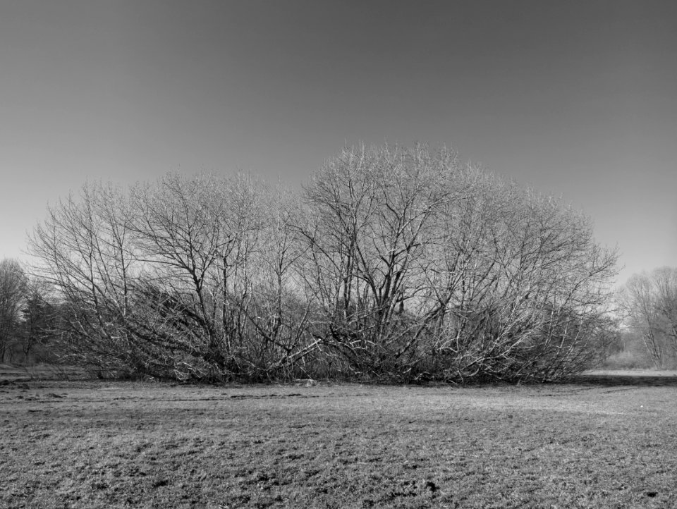 Winter's last weeks.