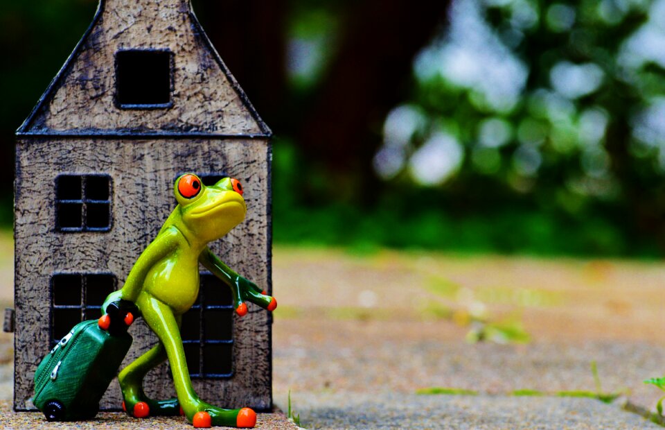 Frog luggage figure