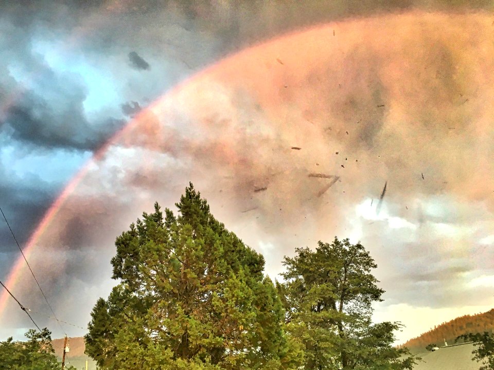 Full Arc Bow