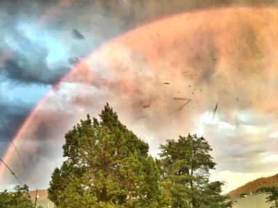 Full Arc Bow