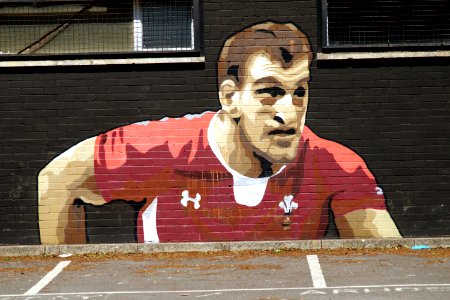 Sam Warburton Artwork photo