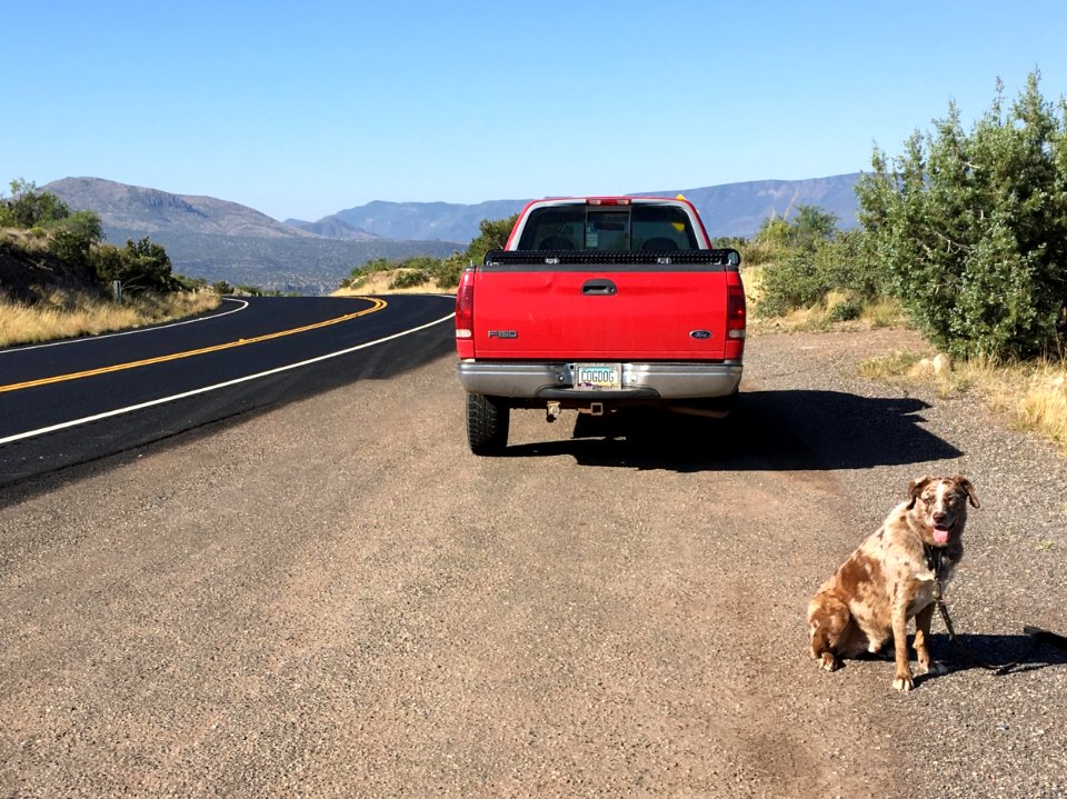 Let's Get Back on the Road!