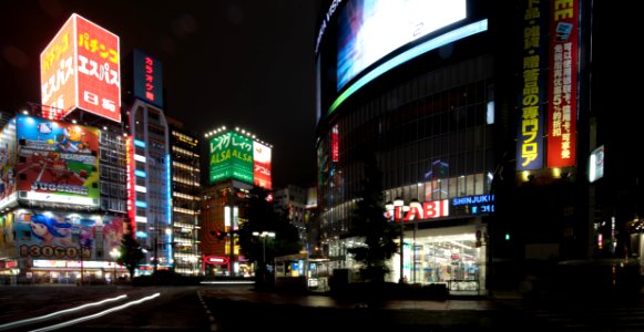 2019 Tokyo Nighttime Neon Pedestrians and Traffic (17) photo