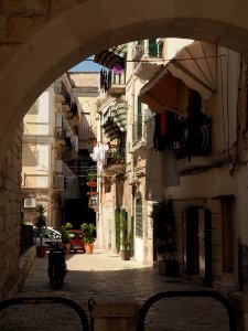 P5052009