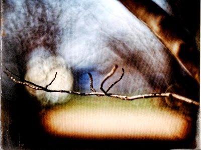 Spring clue.
