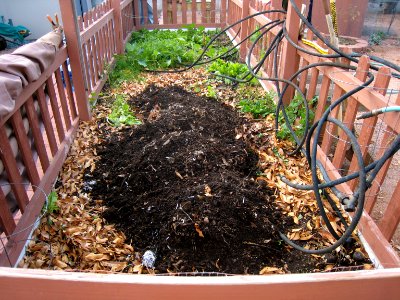 Harvesting Black Gold