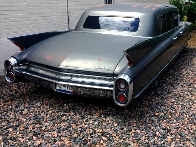 Oh, The Classy T-Bird Fins