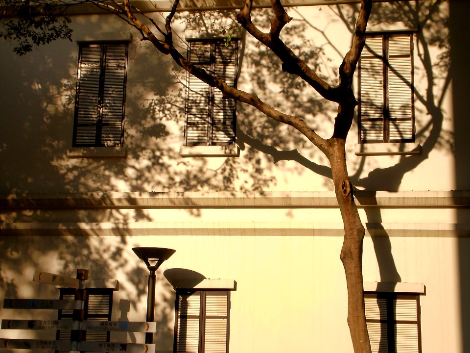 (2009-01-01)香港公園-05