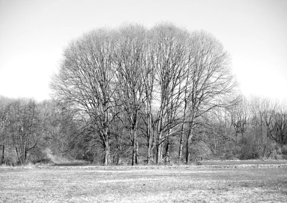 Winter's last weeks.