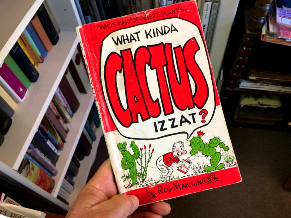 Classic Cactus Guide