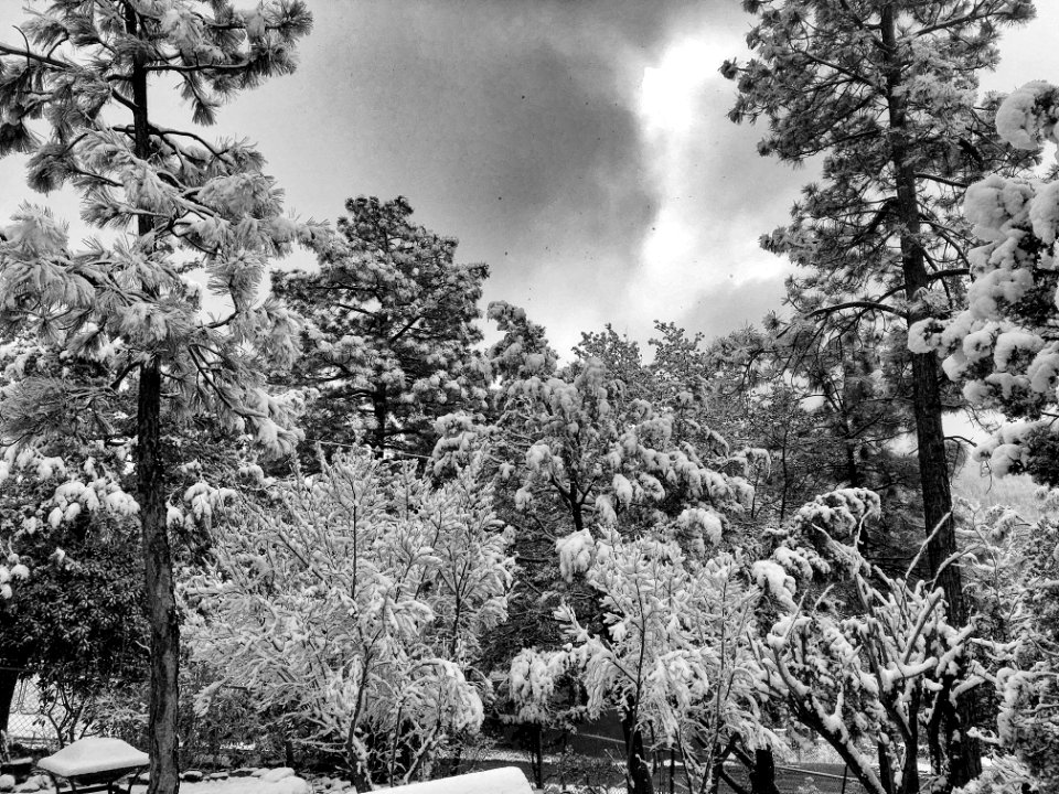 2018/365/59 Arizona Snowscape