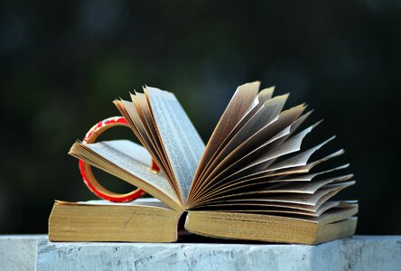 Open book reading literature