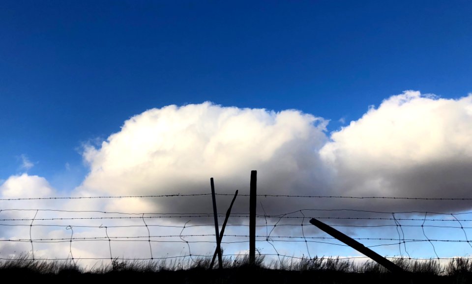 2020/366/296 Don't Cloud Me In