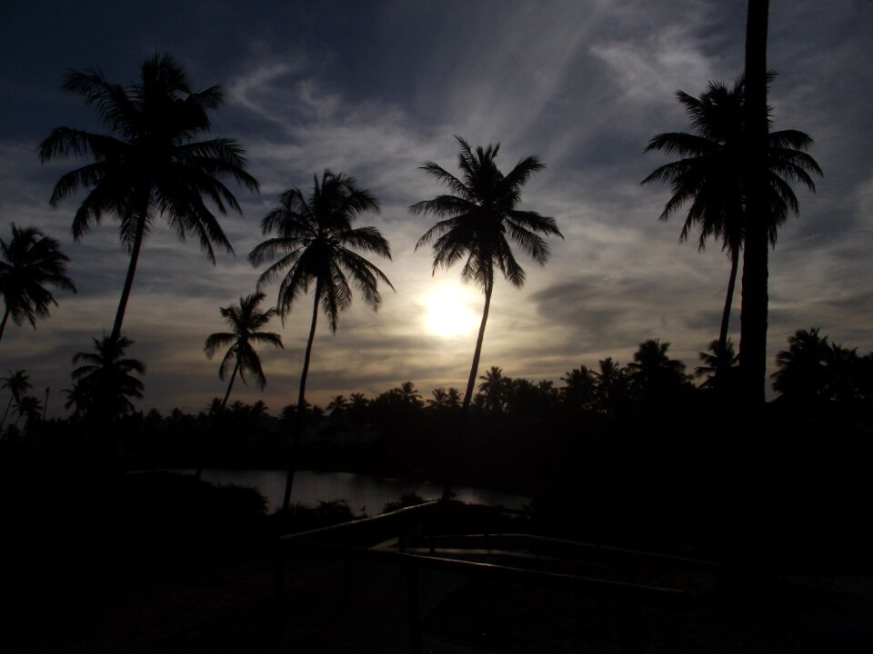 Tropical dusk dark